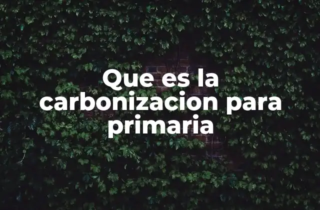 Que es la Carbonizacion para Primaria
