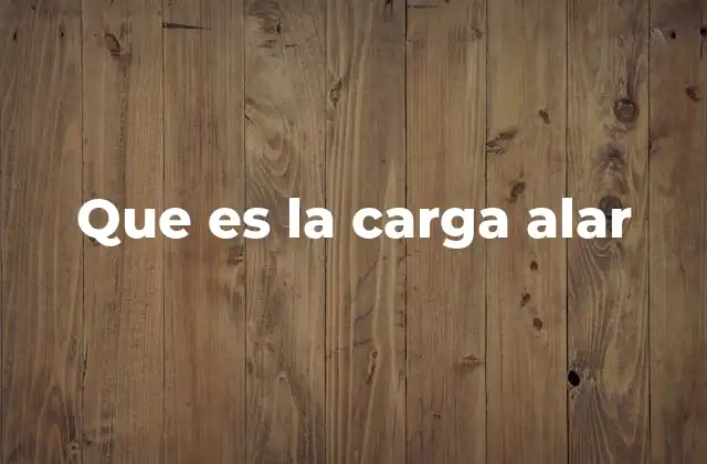 Que es la Carga Alar 2 La importancia de la distribución del peso en el diseño aeronáutico