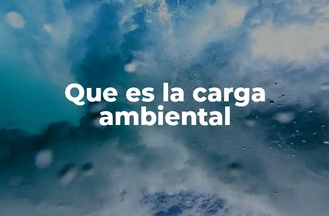 Que es la Carga Ambiental