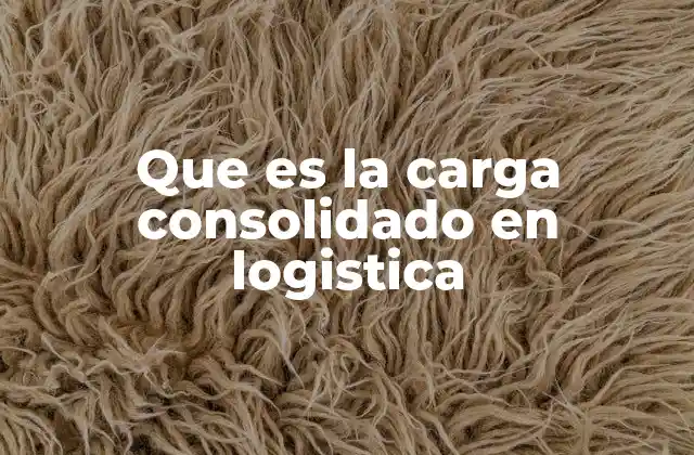 Que es la Carga Consolidado en Logistica