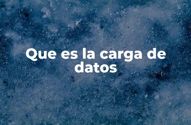 Que es la Carga de Datos