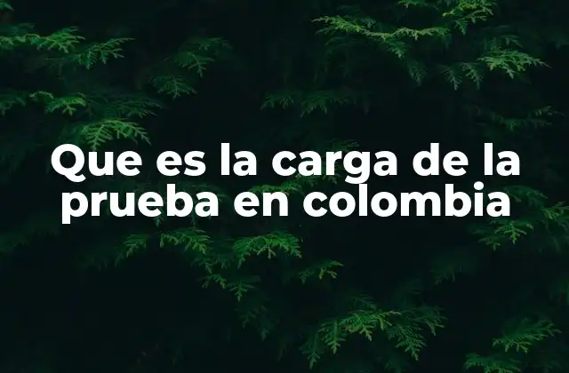 La importancia de la carga de la prueba en el sistema legal colombiano