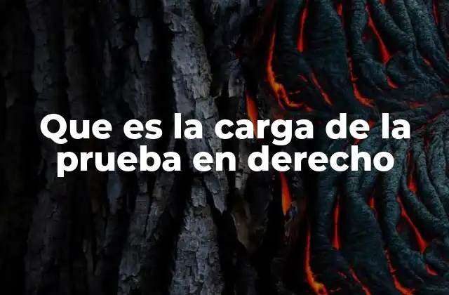Que es la Carga de la Prueba en Derecho
