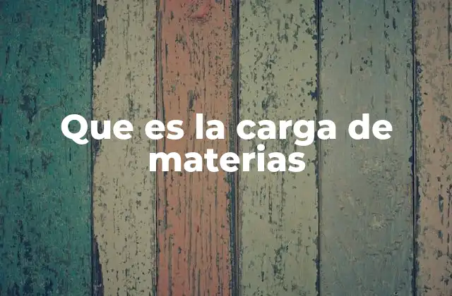 Que es la Carga de Materias