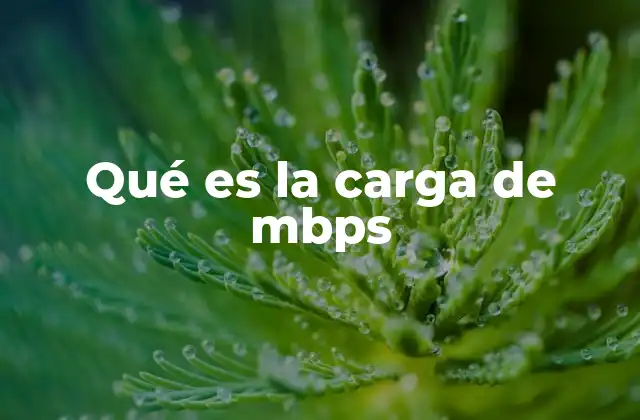 Qué es la Carga de Mbps