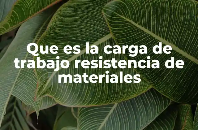 Que es la Carga de Trabajo Resistencia de Materiales