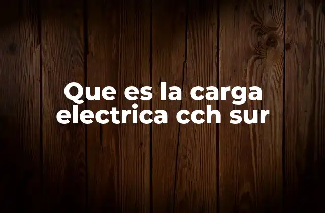 Que es la Carga Electrica Cch Sur