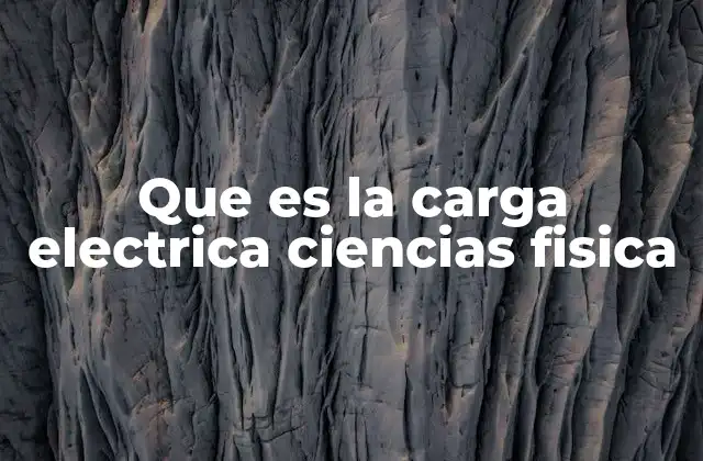 Que es la Carga Electrica Ciencias Fisica