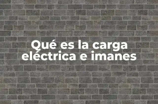Qué es la Carga Eléctrica e Imanes 2 La interacción entre fuerzas eléctricas y magnéticas