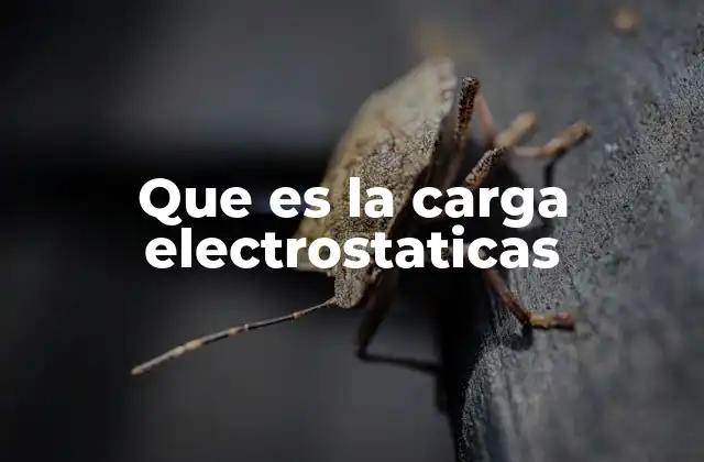 Que es la Carga Electrostaticas