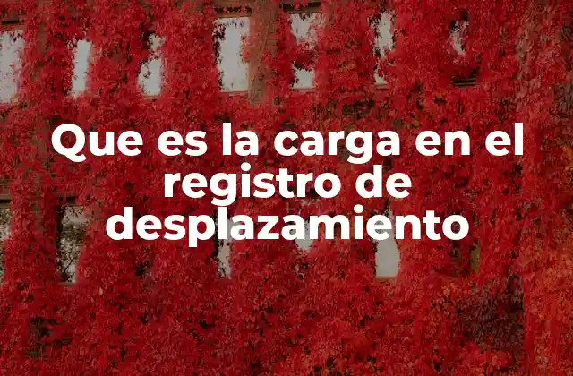 Que es la Carga en el Registro de Desplazamiento