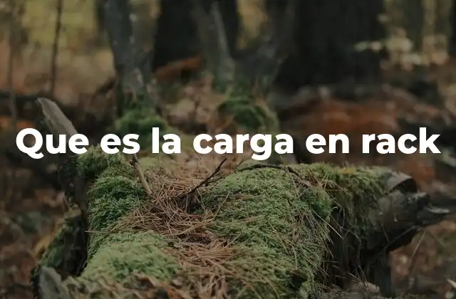 Que es la Carga en Rack