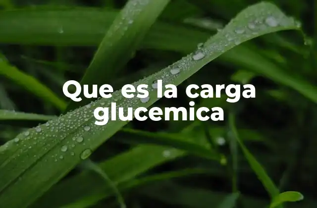 Que es la Carga Glucemica