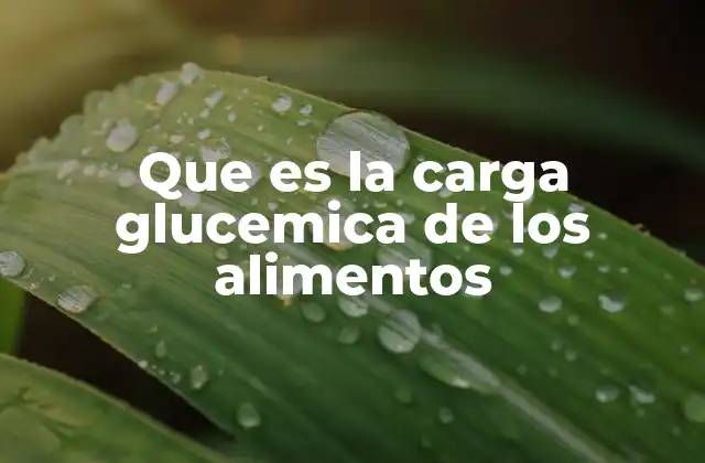 Que es la Carga Glucemica de los Alimentos