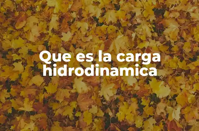 Que es la Carga Hidrodinamica
