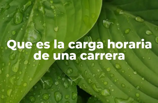 Que es la Carga Horaria de una Carrera