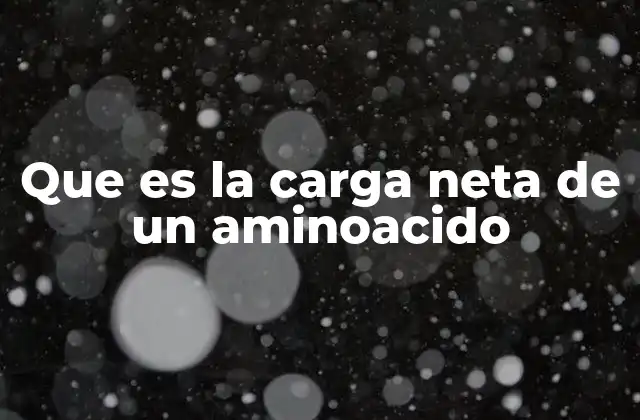 Que es la Carga Neta de un Aminoacido 2 Factores que influyen en la carga de los aminoácidos