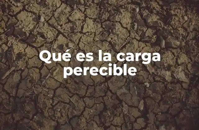 Qué es la Carga Perecible 2 La importancia de manejar adecuadamente la carga perecible
