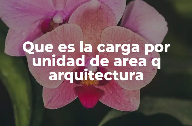 Que es la Carga por Unidad de Area Q Arquitectura