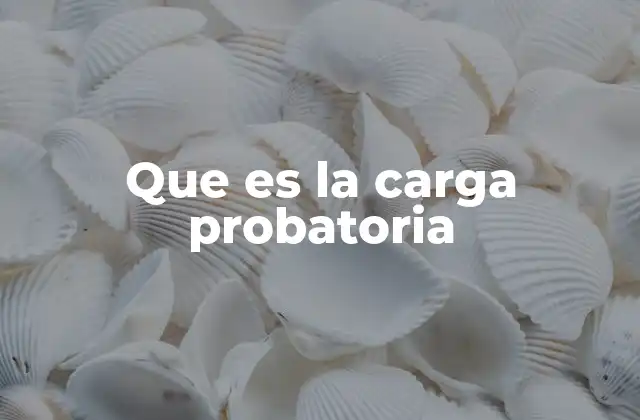 Que es la Carga Probatoria