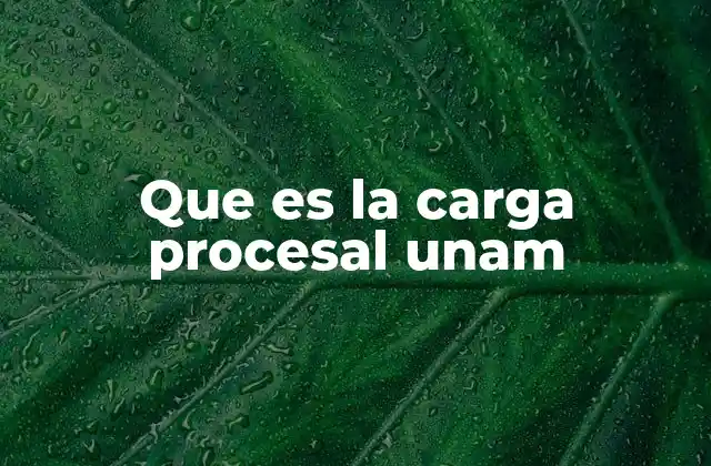 Que es la Carga Procesal Unam