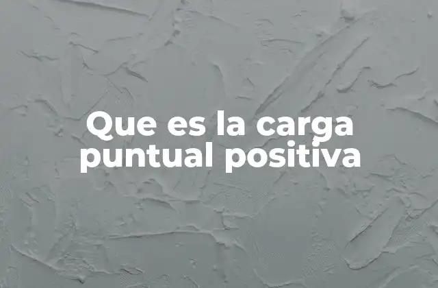 Que es la Carga Puntual Positiva