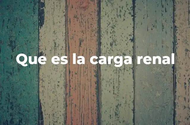 Que es la Carga Renal