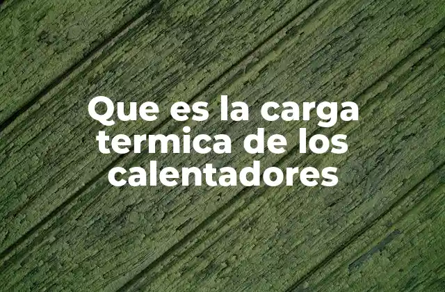 Que es la Carga Termica de los Calentadores