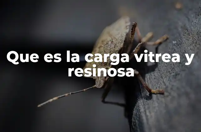 Que es la Carga Vitrea y Resinosa