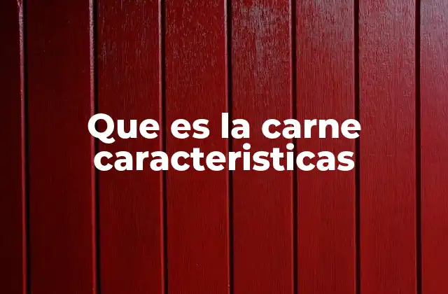 Que es la Carne Caracteristicas