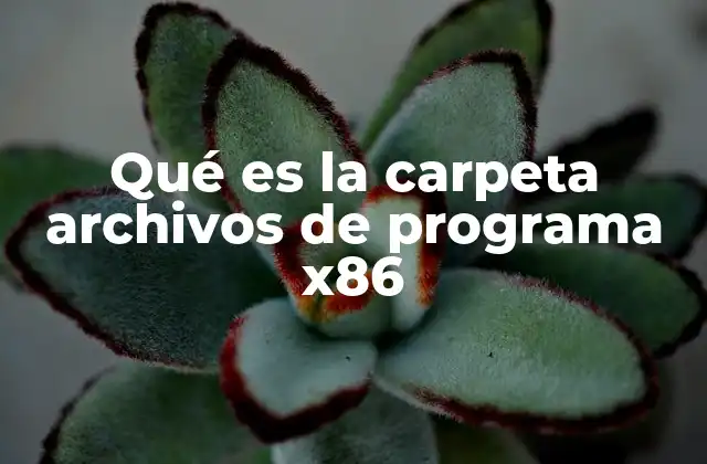 Qué es la Carpeta Archivos de Programa X86