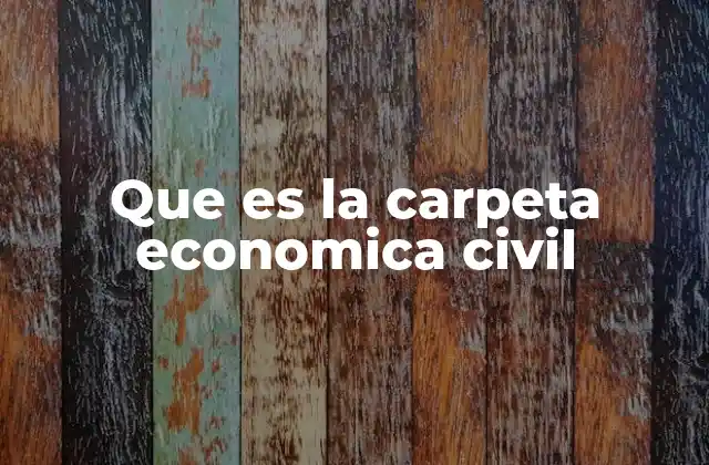 Que es la Carpeta Economica Civil