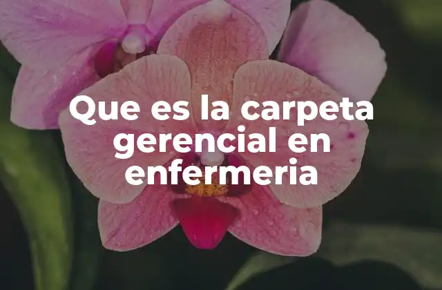 Que es la Carpeta Gerencial en Enfermeria