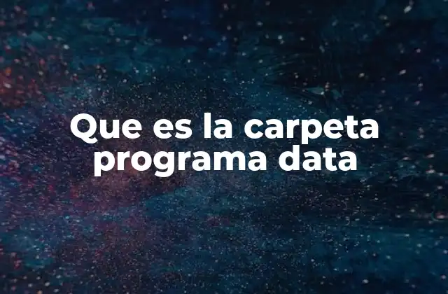 Que es la Carpeta Programa Data