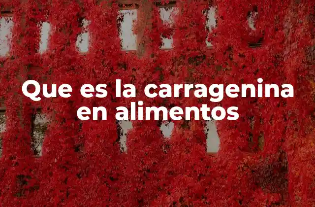 Que es la Carragenina en Alimentos