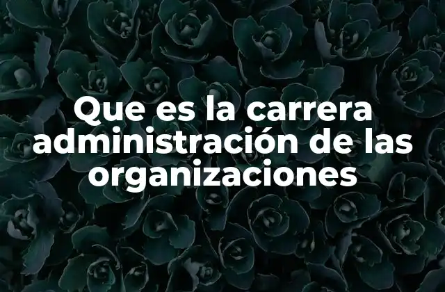 Que es la Carrera Administración de las Organizaciones