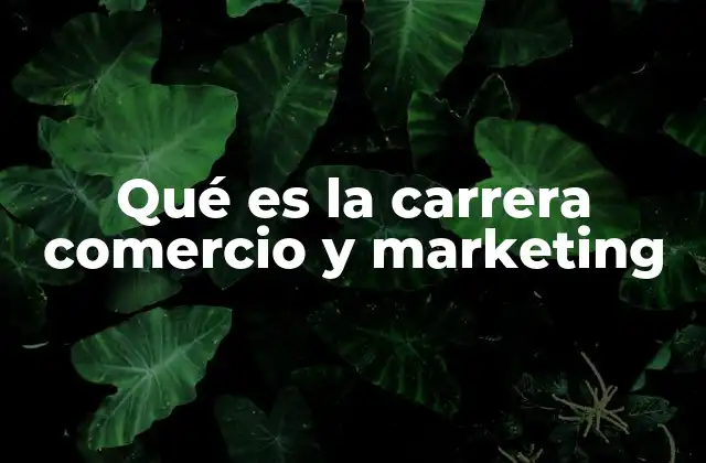 Qué es la Carrera Comercio y Marketing