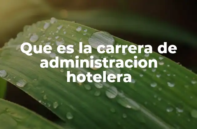 La importancia de la formación en gestión de hospedaje