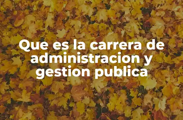 Que es la Carrera de Administracion y Gestion Publica