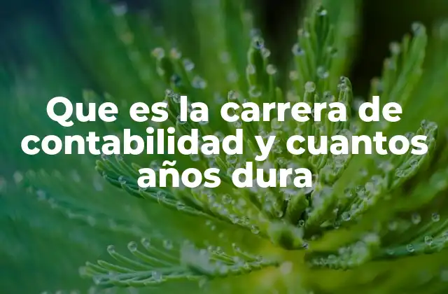 Que es la Carrera de Contabilidad y Cuantos Años Dura