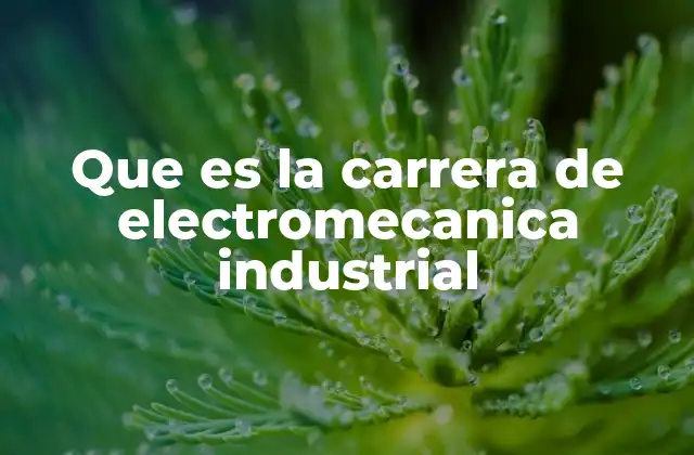 Que es la Carrera de Electromecanica Industrial