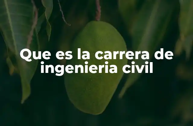 Que es la Carrera de Ingenieria Civil