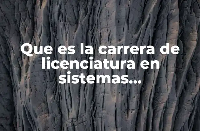 Que es la Carrera de Licenciatura en Sistemas Computacionales