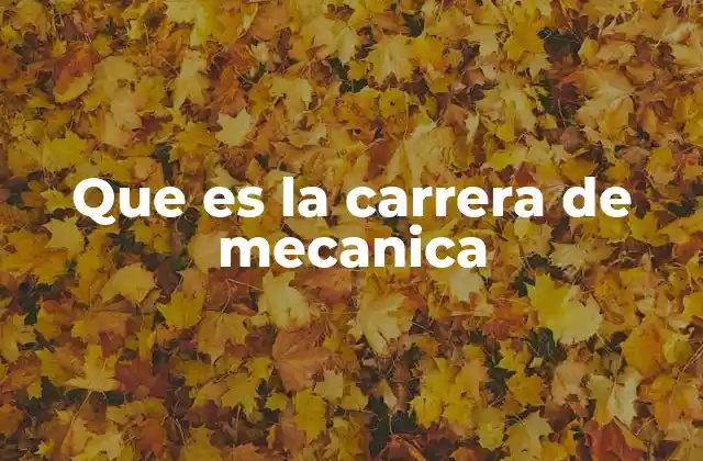Que es la Carrera de Mecanica