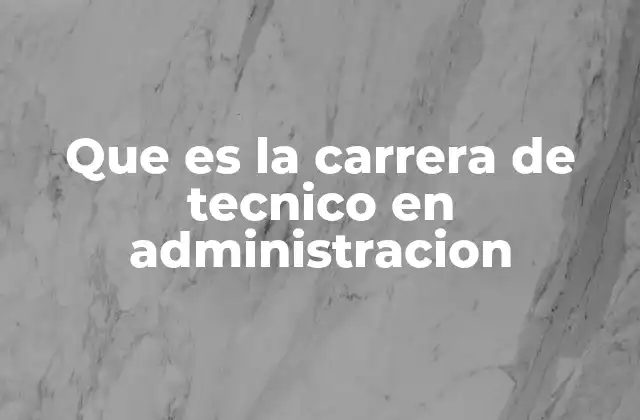 Que es la Carrera de Tecnico en Administracion 2 La importancia de la formación técnica en el mundo empresarial