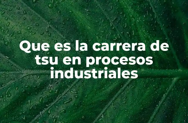 La importancia de la formación técnica en el desarrollo industrial