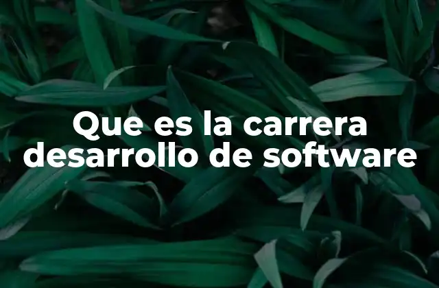 Que es la Carrera Desarrollo de Software