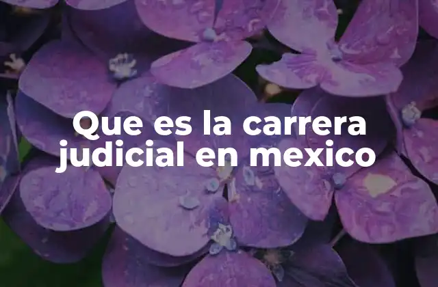 Que es la Carrera Judicial en Mexico