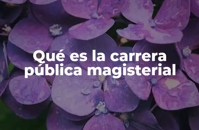 Qué es la Carrera Pública Magisterial