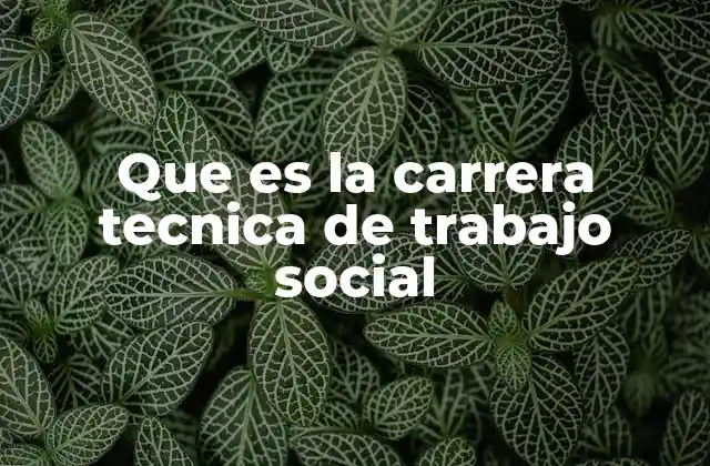 Que es la Carrera Tecnica de Trabajo Social